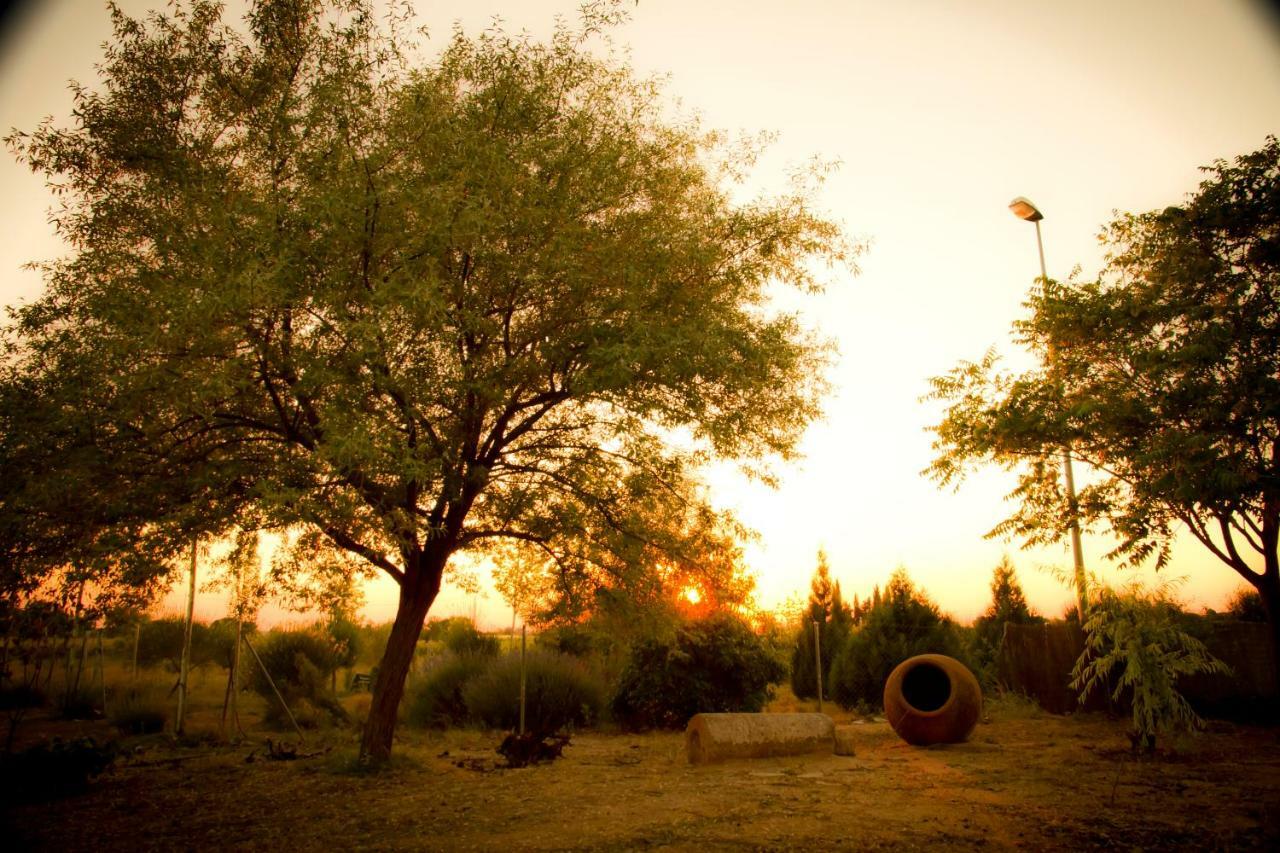 Las Candelas Casas De Los Pinos Bagian luar foto